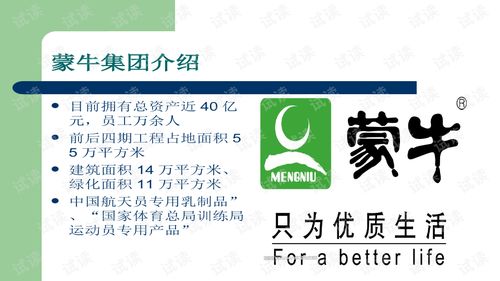 蒙牛廣告策劃案商業(yè)計劃書——精準(zhǔn)營銷，品牌升級